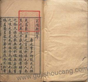 《酉阳杂俎》唐代段成式著,明万历时期新都汪士贤校刊本的PDF高清电子版影印本下载-古籍收藏网
