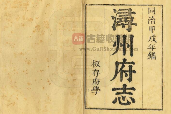广西省贵港市桂平市《同治浔州府志》全三十八卷 清魏笃修 王俊臣纂PDF电子版地方志下载-古籍收藏网